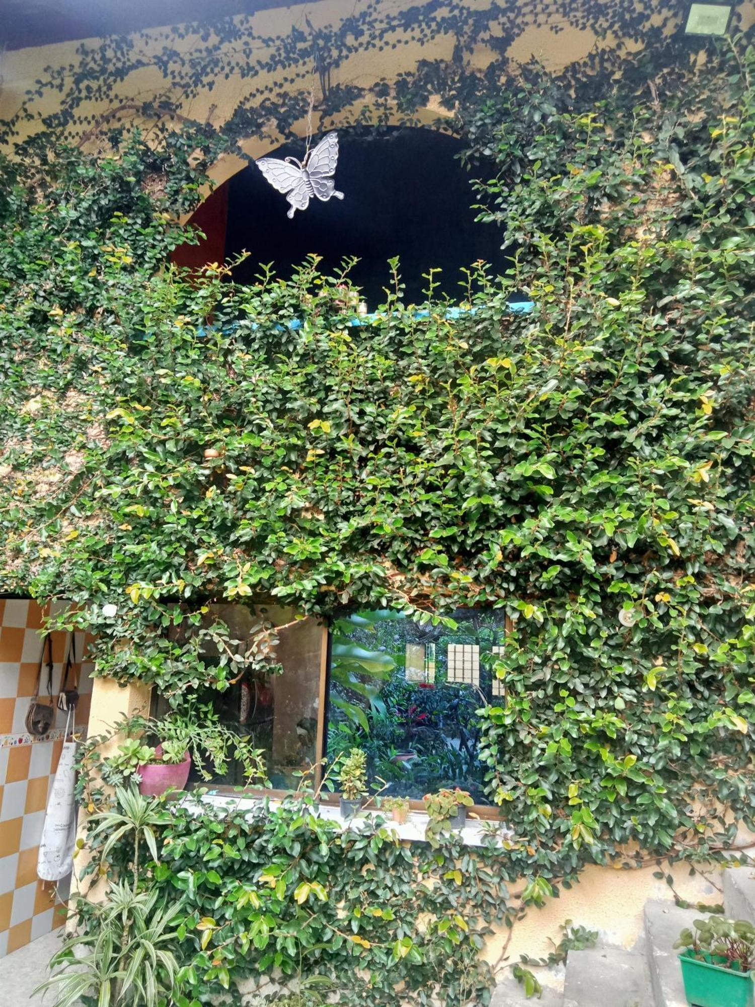 Acogedor apartaestudio Armenia  Exterior foto